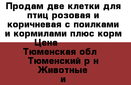 Продам две клетки для птиц розовая и коричневая с поилками и кормилами плюс корм › Цена ­ 400-650 - Тюменская обл., Тюменский р-н Животные и растения » Птицы   . Тюменская обл.